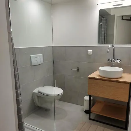 Calme Proche Geneve Apartment Saint-Jean-de-Gonville